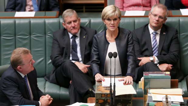 Foreign Affairs Minister Julie Bishop: "Executing these two young men will not solve the drug scourge in Indonesia."