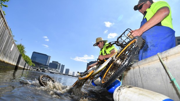 Fishing oBikes out of the Yarra River.