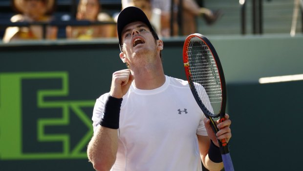 Breaking new ground: Andy Murray is the first British man to achieve the 500-win plateau.