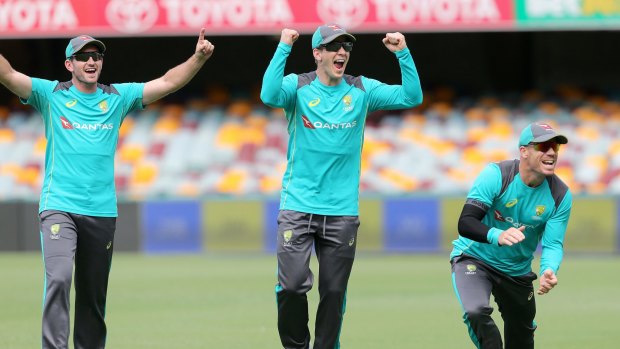Familiar faces? Chadd Sayers, Tim Paine and David  Warner at training on Monday.