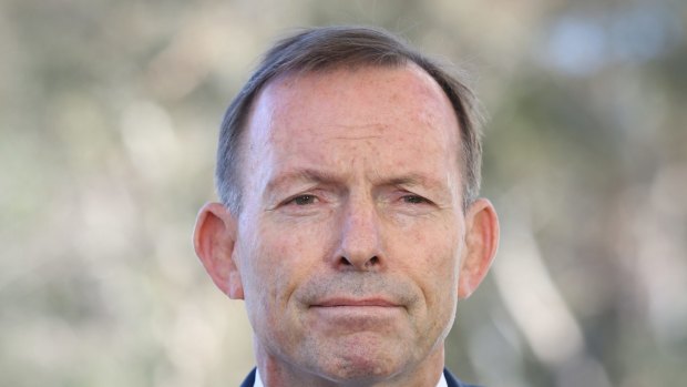 Tony Abbott has linked the same-sex marriage vote to political correctness.