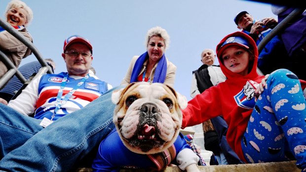 Raising the woof: Bulldog Candy, with owners Shane, Lilly and Lorraine Blythe, at Whitten Oval. 