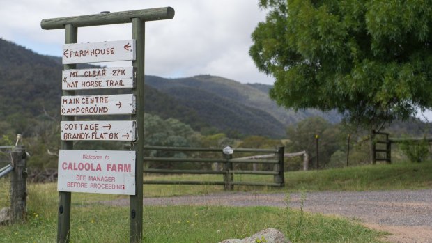 Caloola Farm, near Tharwa, is being sold after the leaseholder went into liquidation. 
