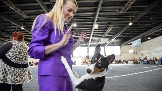 More than 2500 dogs took part in the three-day show.