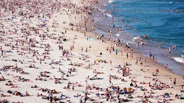 Bondi Beach? It looks a lot bigger in the postcards.