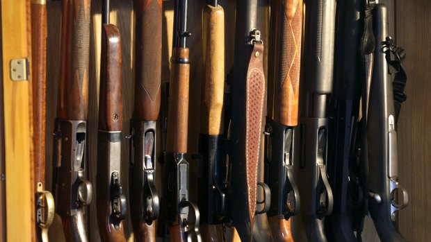 Rifles, pistols and revolvers were among guns the judge said must be forfeited. 