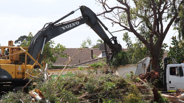 A Karrinyup site where every tree was demolished, including a very large specimen on the boundary shading three different lots. The trees were removed even before the three lots went on the market. 