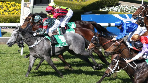 Great ride: Kathy O'Hara earned the plaudits after guiding Something Secret to victory.