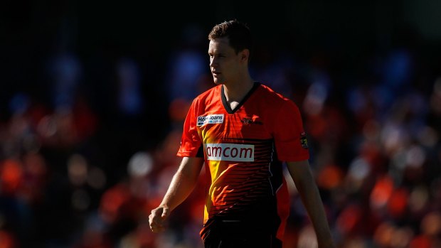 Bolter: could Jason Behrendorff's stellar Big Bash form see him make the cut for the World Cup?