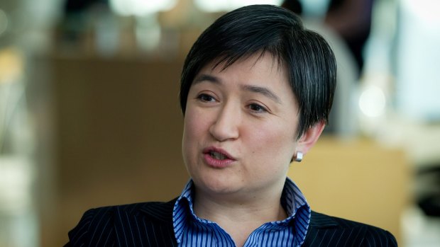 Senator Penny Wong will investigate the claim paid parking would not generate significant revenue for the DPS.