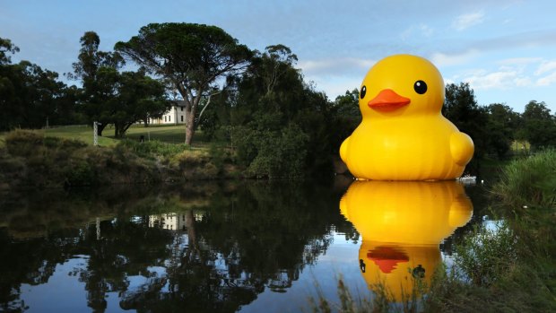 Florentijn Hofman's five-storey-high inflatable rubber duck added a touch of humour to the 2014 Sydney Festival. 