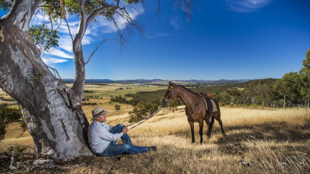 Paul Keir and his Australian stock horse Springfield Scrumlo overlooking the Majura Valley.