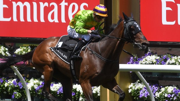 Cup run: Stephen Baster rides the Gai Waterhouse trained Cismontane to victory in the Lexus Stakes.
