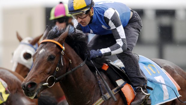 It all starts now: Protectionist will start spring carnival preparations on Saturday.