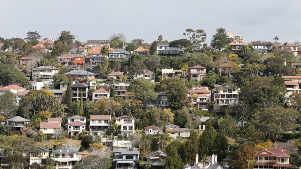 Mosman is one of various areas in NSW where home owners have been able to capitalise on regulations and clear greenery without council approval.