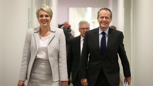 Labor's Tanya Plibersek and Bill Shorten.