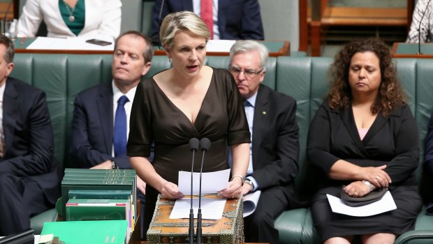 Deputy Opposition Leader Tanya Plibersek speaks during a motion for a stay of executions of Andrew Chan and Myuran Sukumaran, at Parliament House on Thursday.