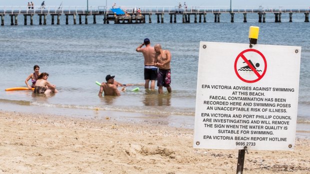 Port Melbourne beachgoers enjoy the water despite warning signs from EPA Victoria advising them not to.