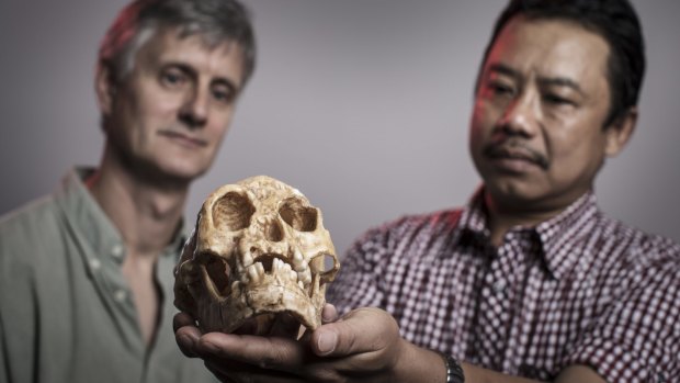 Indonesian archaeologist Thomas Sutikna, and Professor Richard Roberts with a copy of a "hobbit" skull.  