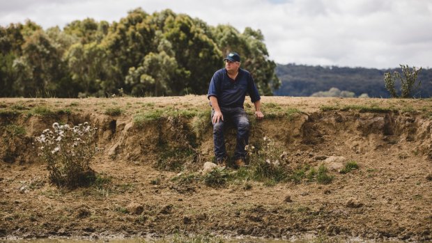Ian Cargill at his property in Braidwood. The recent rain has made grass grow but dams are still near empty. 