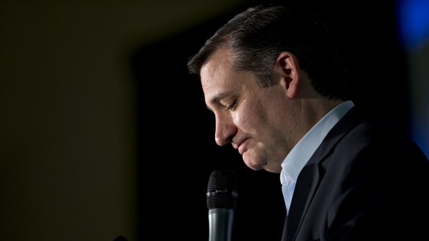 Snarky and self-assured: Senator Ted Cruz.