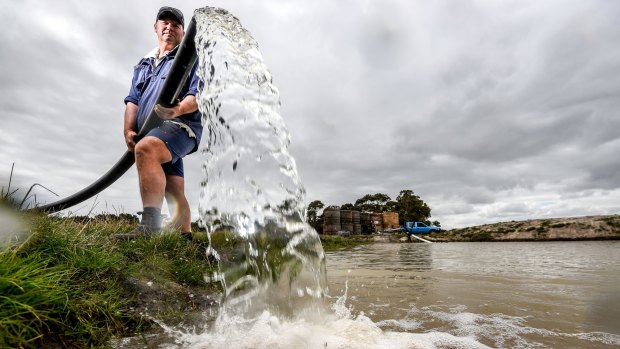 Dairy farmer Mick Hughes on his Inverloch dairy farm.