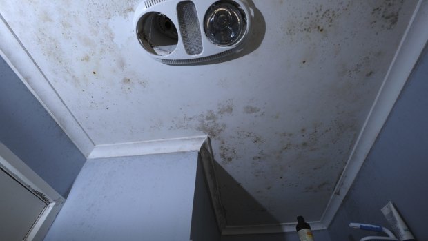 The bathroom's ceiling is covered in mould.