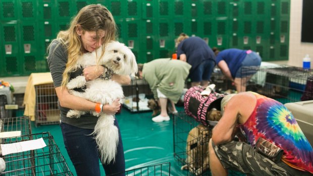 Samantha Belk says goodbye to her Maltese, Gardolf, who, with other pets, is being sheltered from Hurricane Irma in a locker room at John Hopkins Middle School in StPetersburg, Florida, on Sunday.