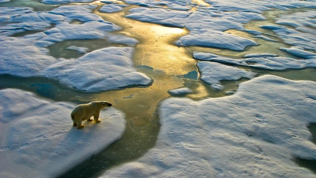 "A wake-up call that the earth is warming and it's warming substantially in the Arctic.'