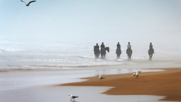 Racehorse trainer  Darren Weir says the beaches are a 'very important part' of his business.