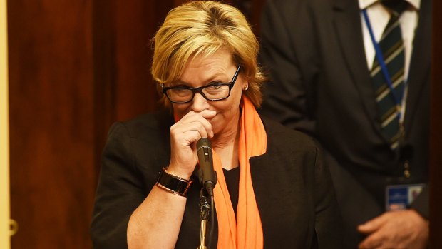 Rosie Batty addressing the joint sitting of  the Victorian Parliament on Thursday.