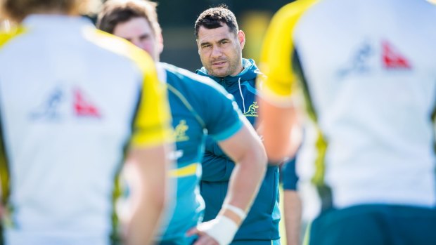 Hot water: George Smith at Wallabies training last year.