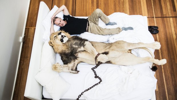 Artist Rod McRae in bed with a lion, which features in his exhibition Wunderkammer.