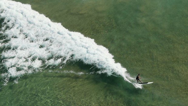 A surfer rides a wave at Manly Beach, seen from a blimp.