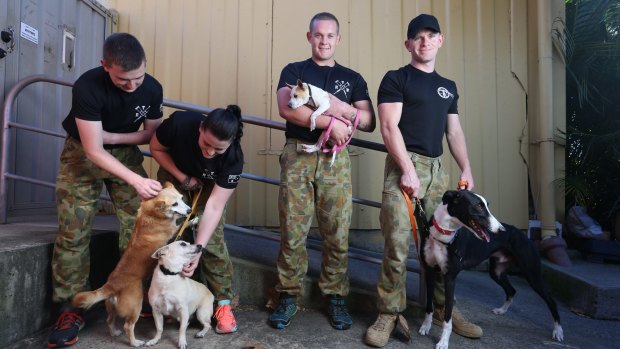 Soldiers Nick Shore, Chelcie Pike, Luke Samson and Clinton Bell at the Sydney Dogs and Cats Home.