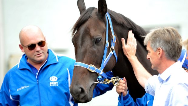 Keep her untarnished: Peter Moody announces the retirement of Black Caviar in April 2013.