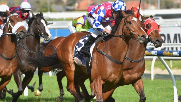 Fell Swoop is heading for the Manikato Stakes.
