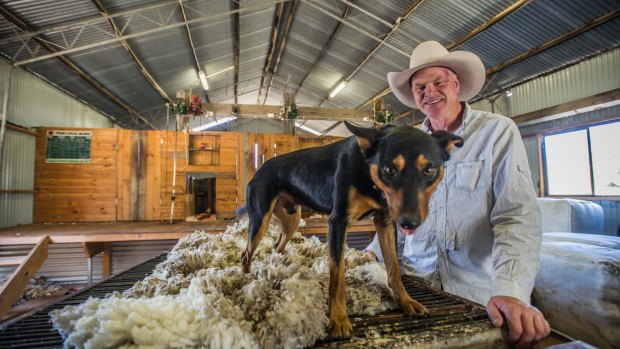Gold Creek Station's Craig Starr with his sheepdog Davo.