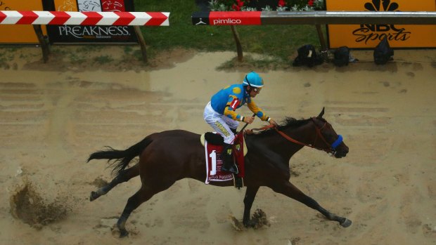 American Pharoah ridden by Victor Espinoza crosses the finish line to win the 140th running of the Preakness Stakes.