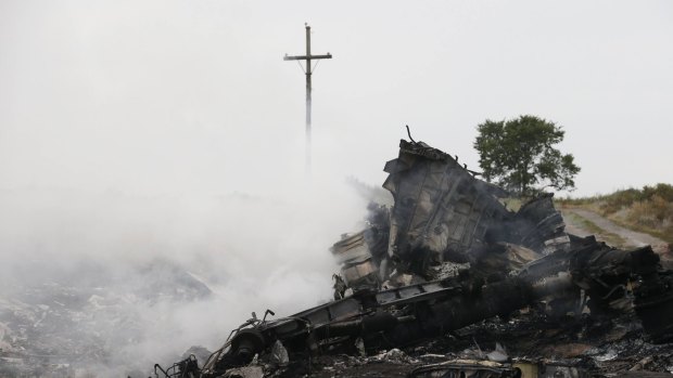 The site of the Malaysia Airlines plane crash in eastern Ukraine.