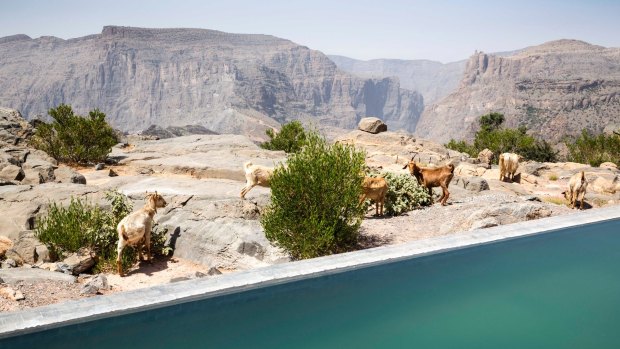 The infinity pool sits right on the lip of the gorge.