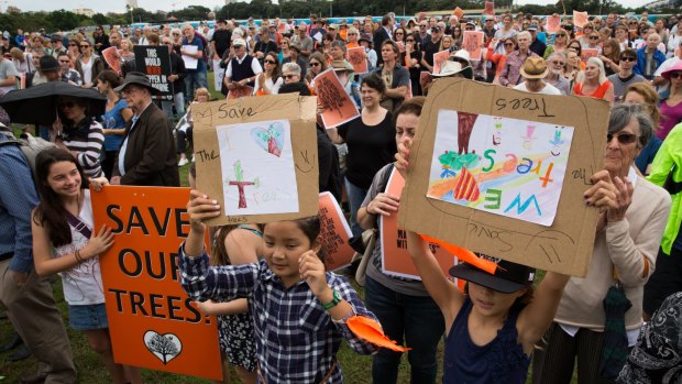 Protestors rally to save the trees on Anzac Parade in Moore Park that are scheduled to be destroyed to make way for the light rail corridor in Sydney. 