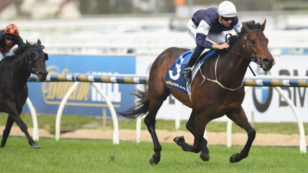 Galloping away: Hugh Bowman guides Amralah to victory in the Herbert Power Stakes.