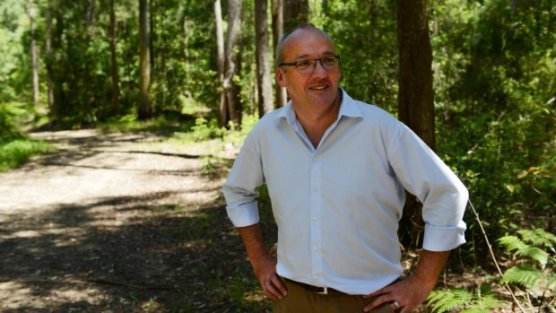 Luke Foley announces Labor will establish a new "koala national park".
