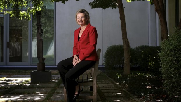 Ms Ley pictured in Parliament House, Canberra.