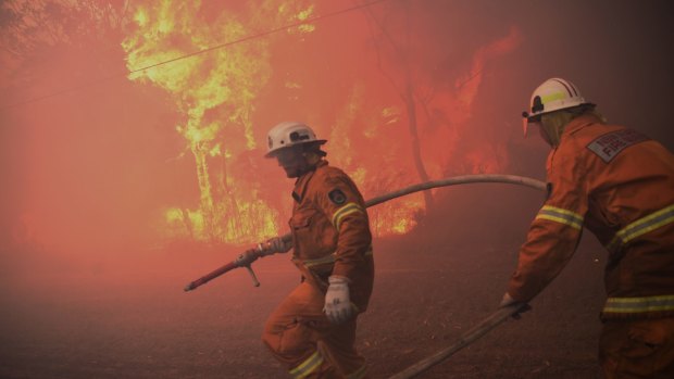 Members of the NSW Rural Fire Service fight a blaze at Londonderry in November.