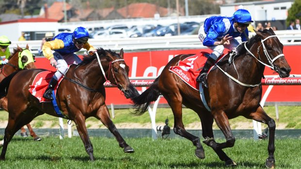 Another win: Hugh Bowman riding Winx leaves Brad Rawiller and Black Heart Bart trailing in her wake in the Caulfield Stakes on Saturday.