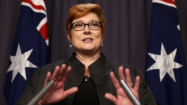 Defence Minister Marise Payne says calls to release an  internal report on mefloquine are misguided and premature. 
