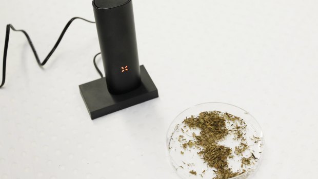 Cannabis and a vaporiser to be used in new medical trial.