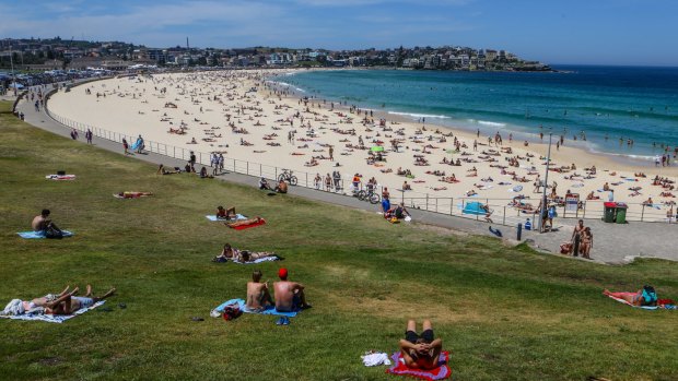 The assaults occurred on Sydney's eastern beaches, including at Bondi.